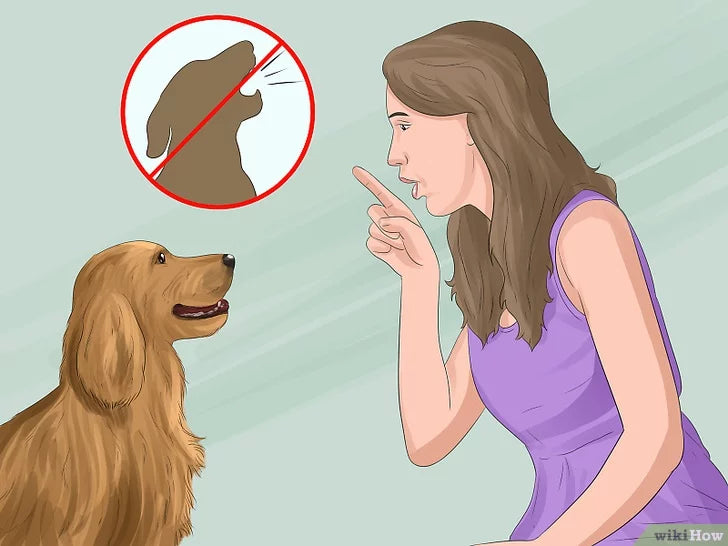 Cách huấn luyện chó sủa và im lặng theo mệnh lệnh - Kallos Vietnam