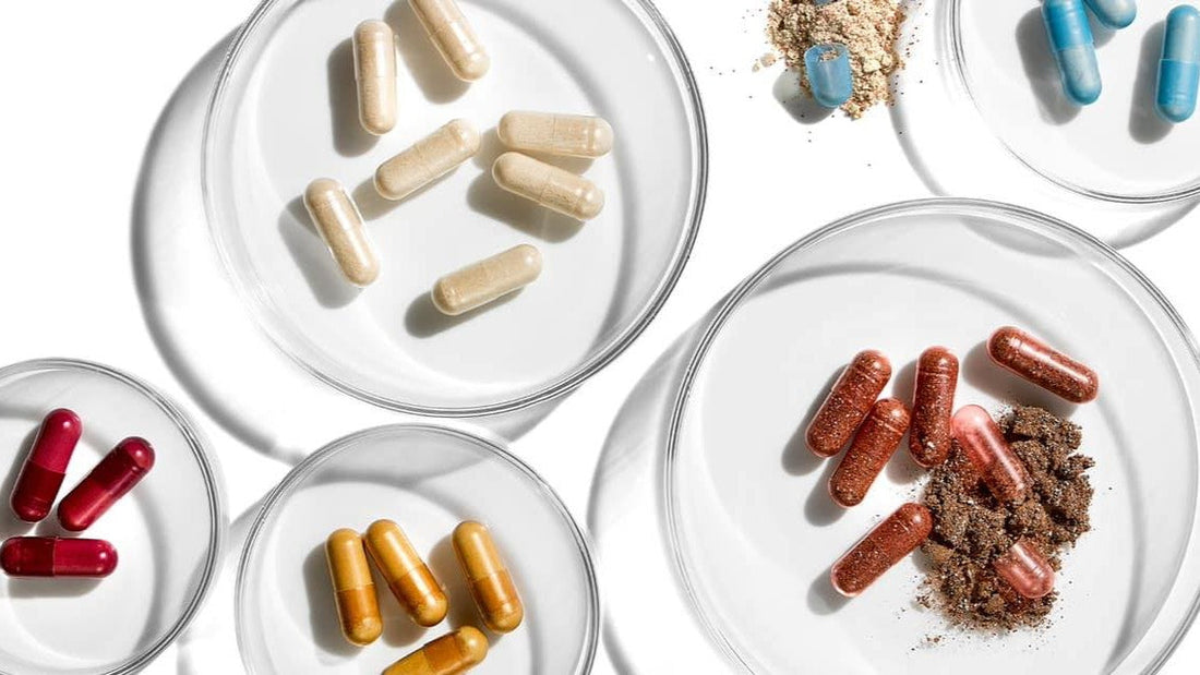 Cách phân biệt Advanced Nutrition Programme thật và giả