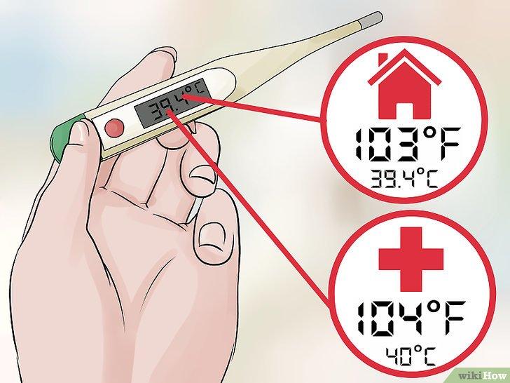 Sốt: Cách nhận biết, phòng ngừa và chữa trị - Kallos Vietnam
