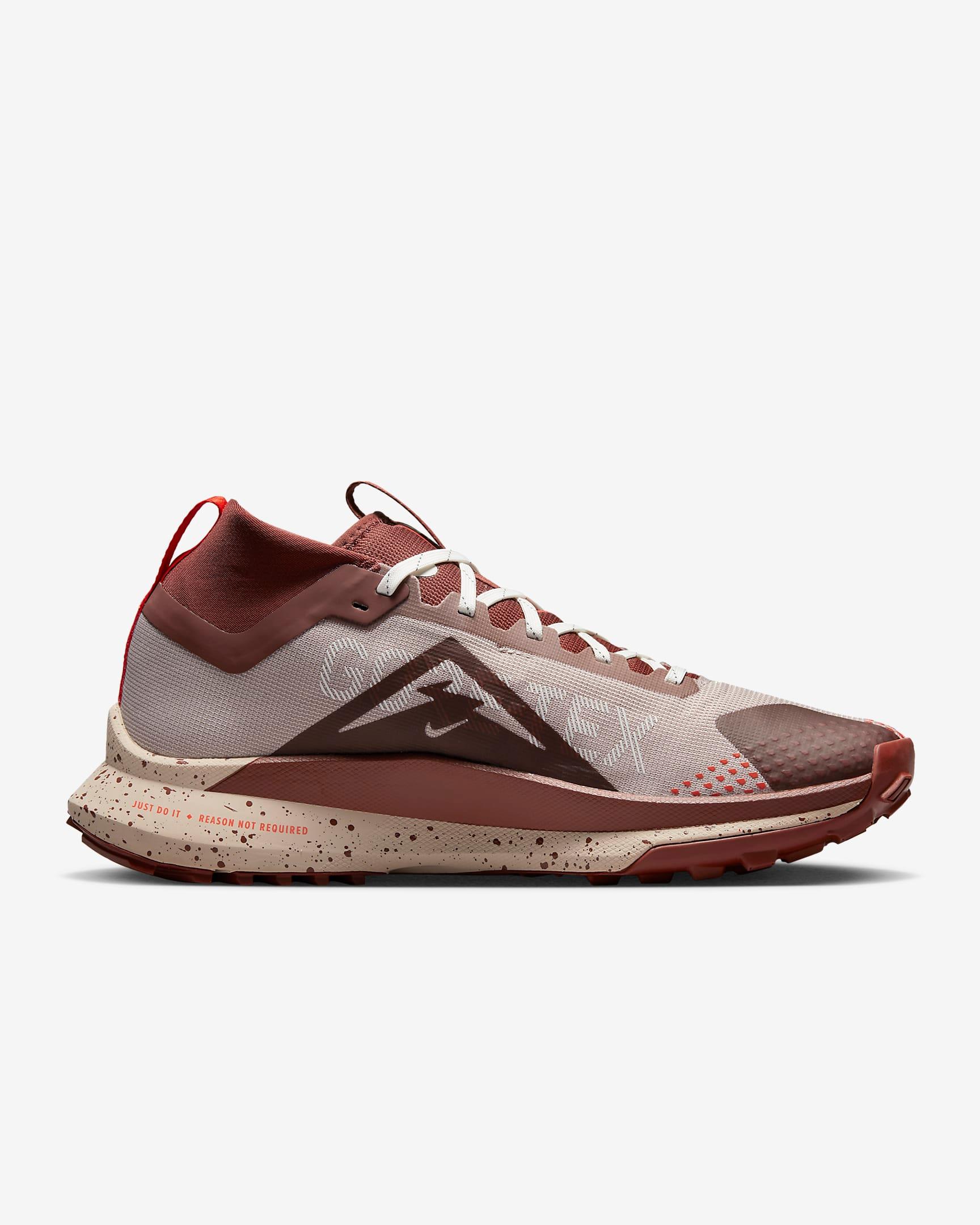 Giày Nike Pegasus Trail 4 GORE-TEX Men Shoes #Diffused Taupe - Kallos Vietnam