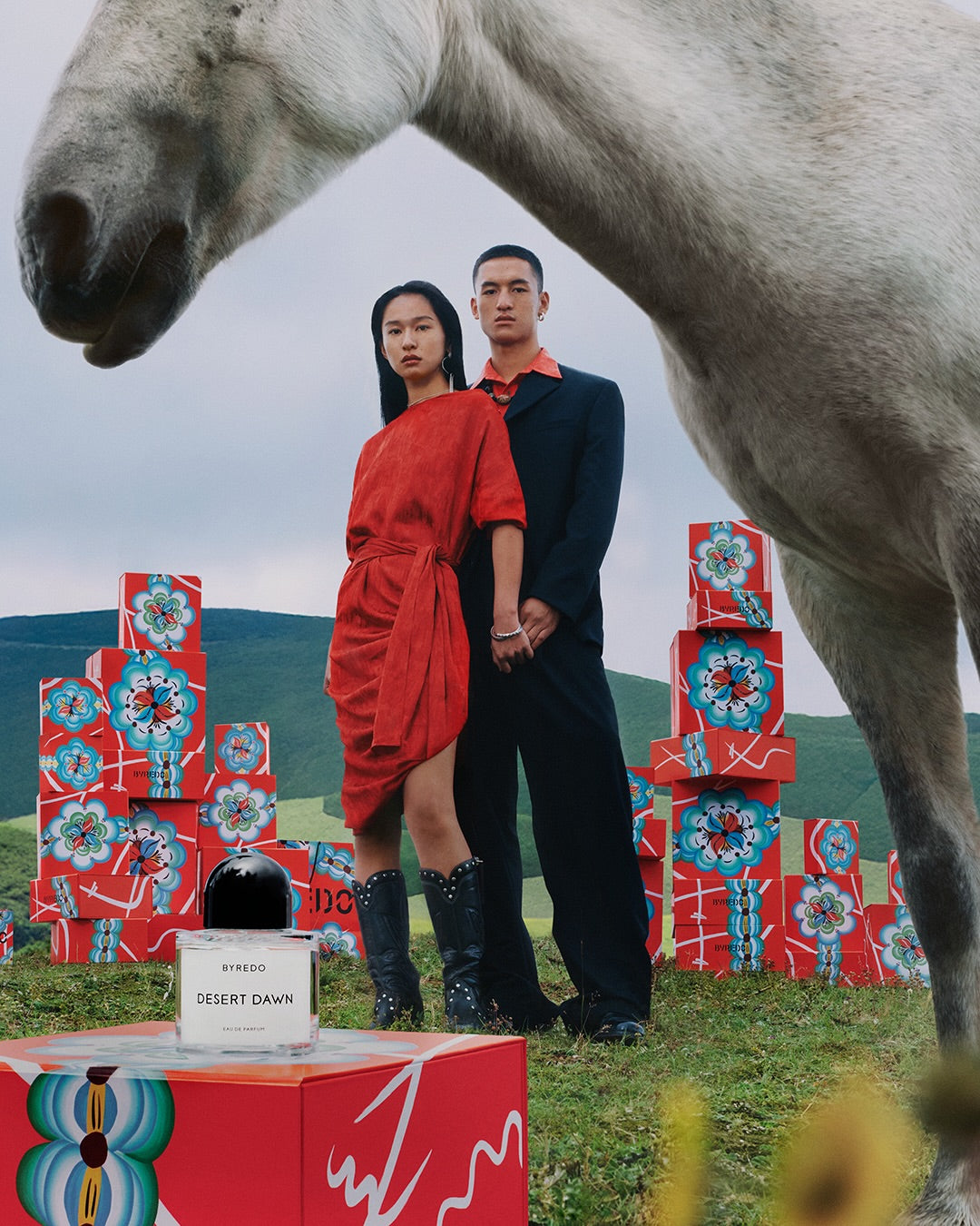 Two people standing in front of a horse with colorful boxes and a bottle on a grassy field.