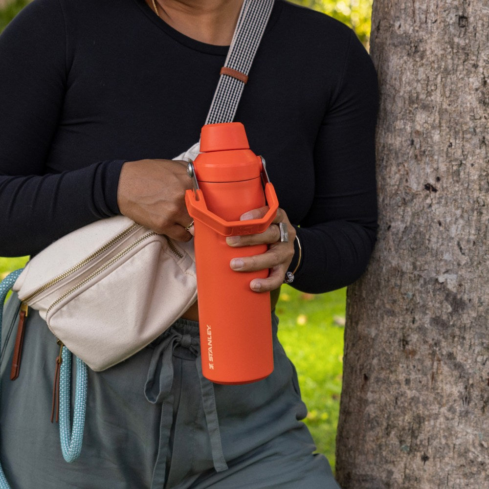 Binh Nuoc STANLEY IceFlow AeroLight Fast Flow Lid Tumbler #Tigerlily Orange - Kallos Vietnam