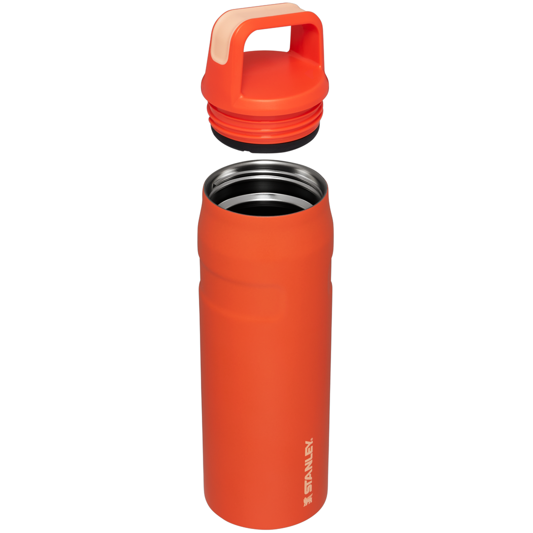 Binh Nuoc Stanley IceFlow Aerolite Cap And Carry + Lid Tumbler #Tigerlily Orange - Kallos Vietnam