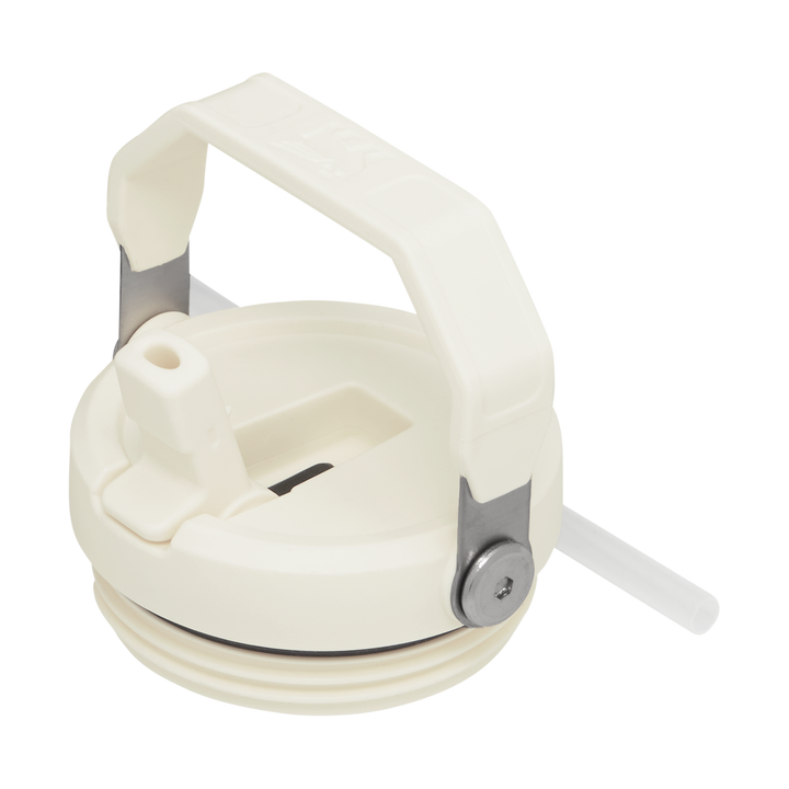 Binh Nuoc Stanley IceFlow Flip Straw Tumbler 