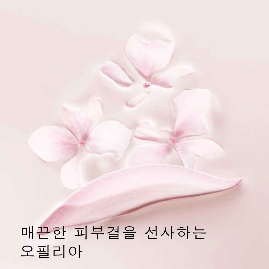 Phấn Nước DIOR Capture Dream Skin Cushion #010 Ivory