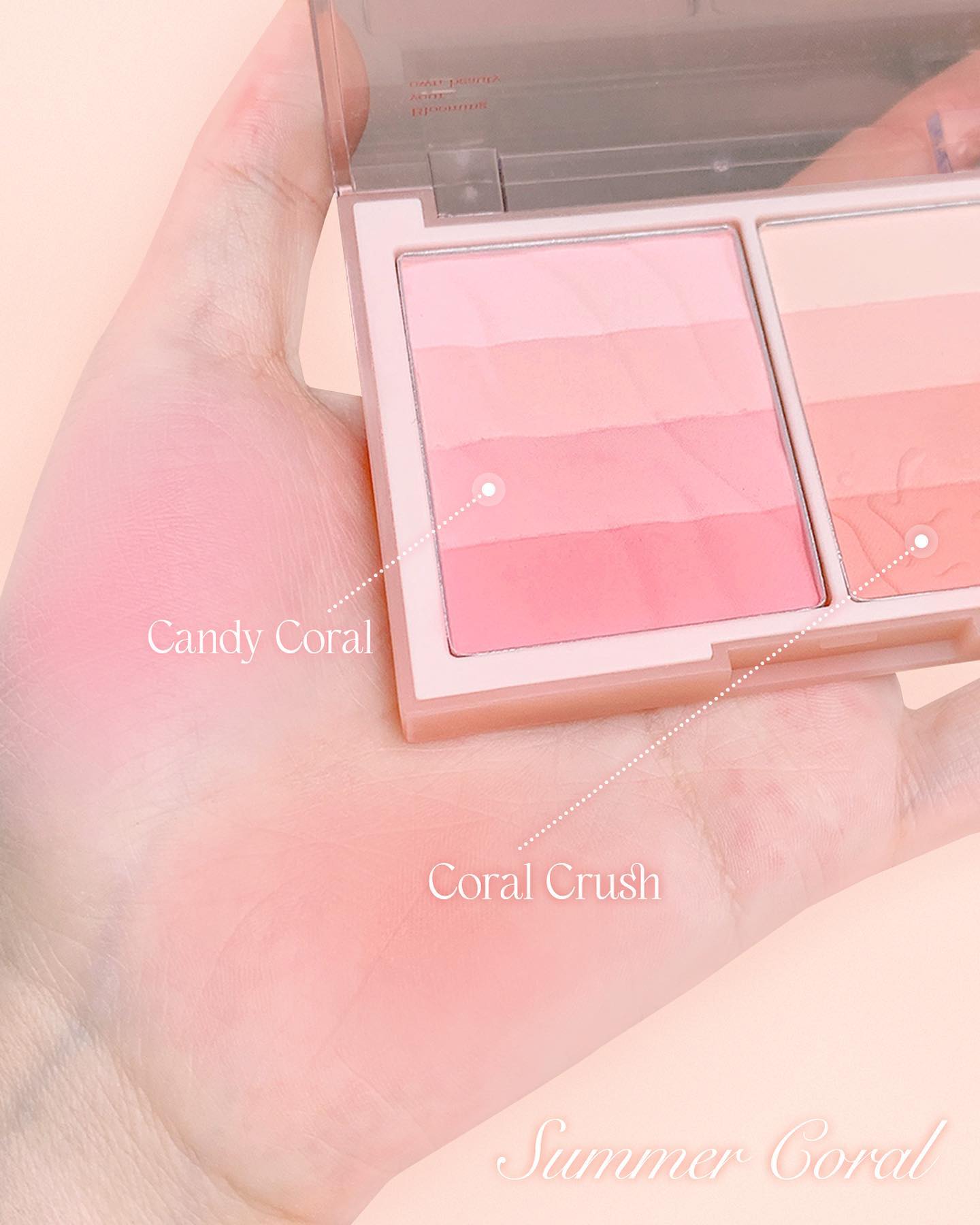 Phấn Má Hồng Dasique Blending Layer Cheek - Kallos Vietnam