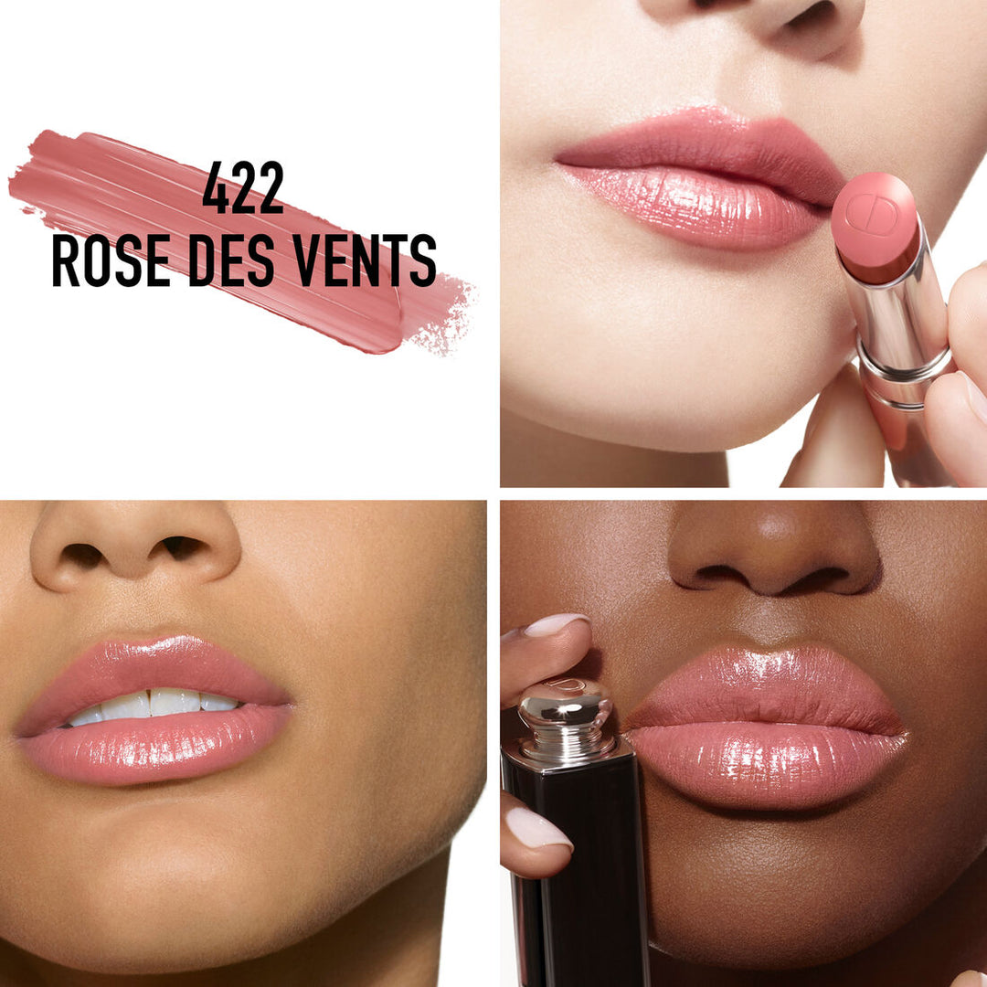 Son Dior Addict Lipstick #422 Rose Des Vents