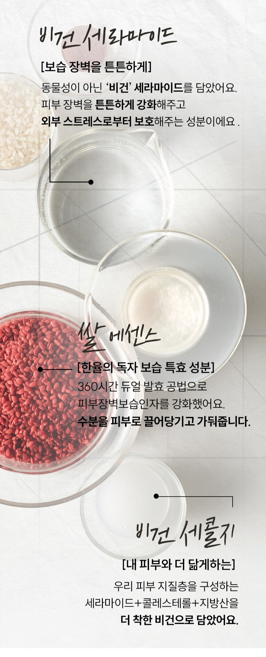 Nước Hoa Hồng Hanyul Red Rice Moisturizing Elasticity Essence Skin - Kallos Vietnam
