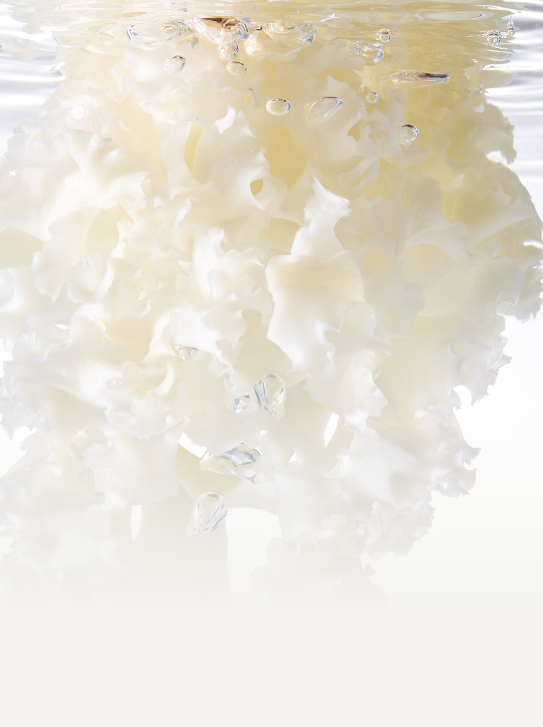 Sữa Dưỡng Innisfree Cauliflower Mushroom Vital Lotion