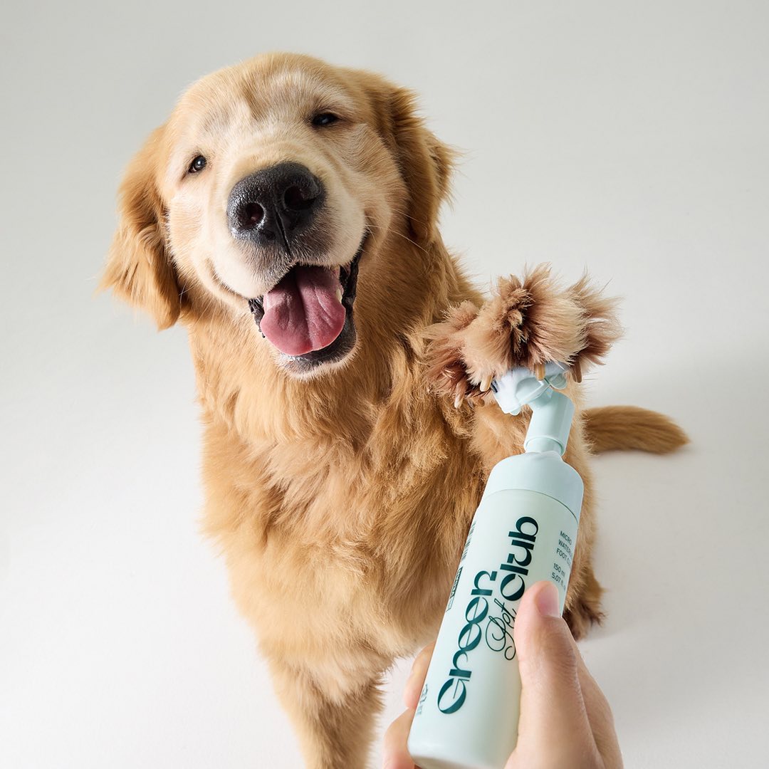 Bọt Xà Phòng Rửa Chân Innisfree Green Pet Club Micro Waterless Foot Cleanser - Kallos Vietnam