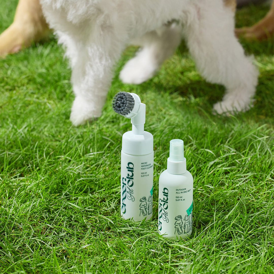 Xịt Dưỡng Lông Innisfree Green Pet Club Outdoor All In One Mist - Kallos Vietnam