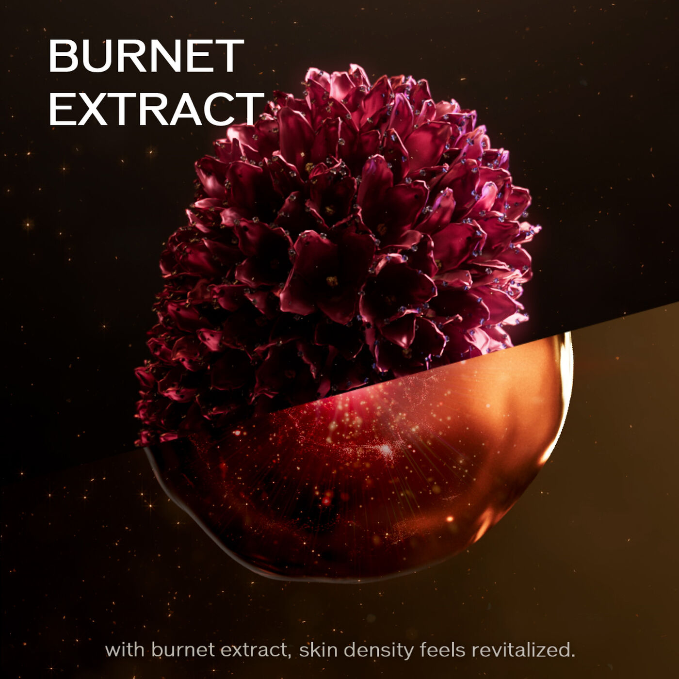Kem Dưỡng SHISEIDO Vital Perfection Concentrated Supreme Cream - Kallos Vietnam
