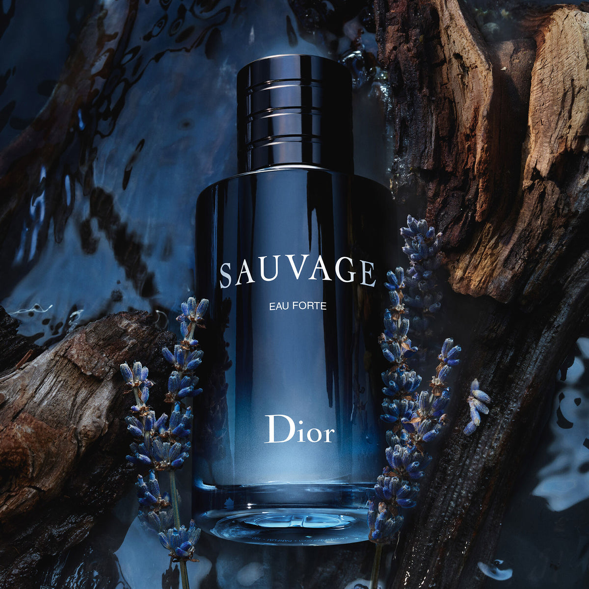 Nuoc Hoa DIOR Sauvage Eau Forte Parfum 3