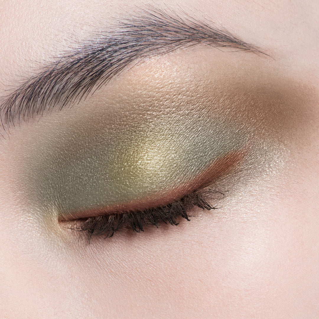 Phấn Mắt DIOR Diorshow 5 Couleurs #343 Khaki - Kallos Vietnam