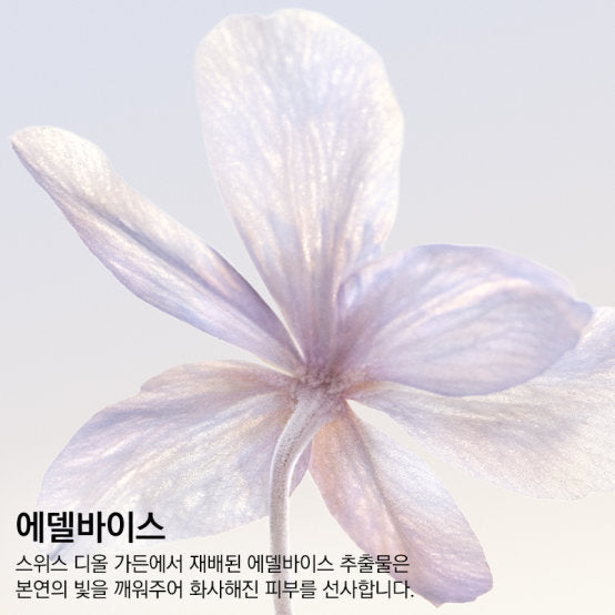 Phấn Nước DIOR Diorsnow UV Shield Cushion #C10 - Kallos Vietnam