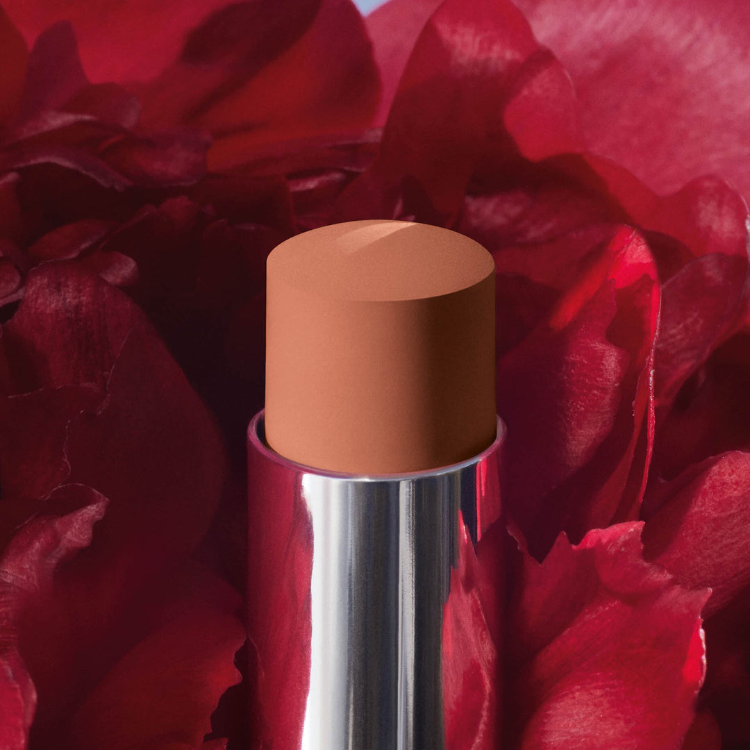 Son DIOR Rouge Dior Forever Stick - 100 Forever Nude Look