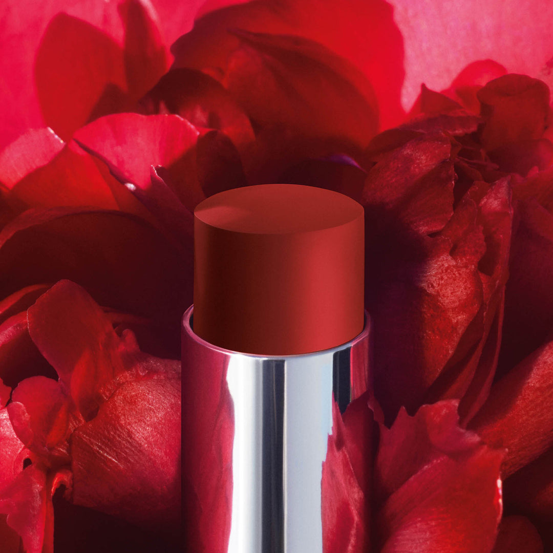 Son DIOR Rouge Dior Forever Stick #866 Forever Together