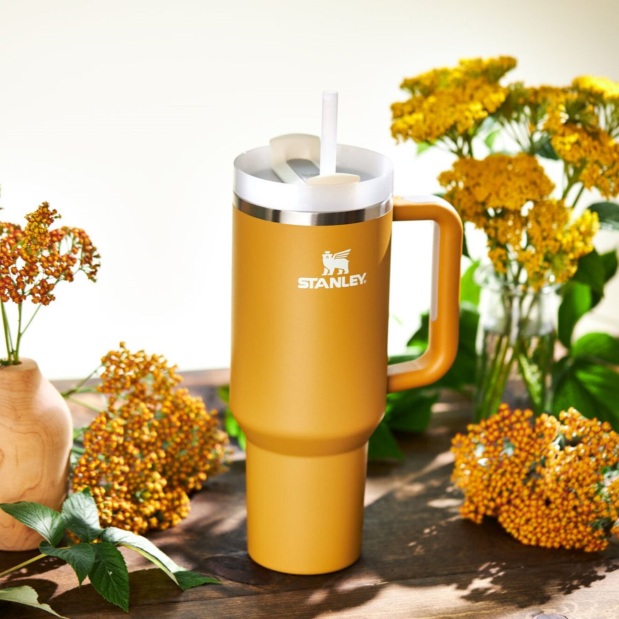 Bình Nước Stanley Quencher H2.0 Flowstate Tumbler - Kallos Vietnam