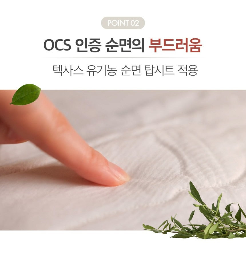 Băng Vệ Sinh INERTIA The Perfection Organic Sanitary Pads #24.5 cm-Kallos