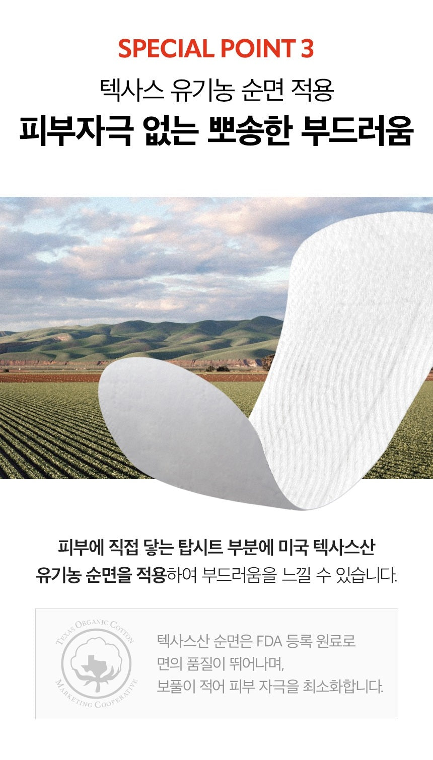 Băng Vệ Sinh Inertia The Prism Organic Daily Liners #17.8 cm