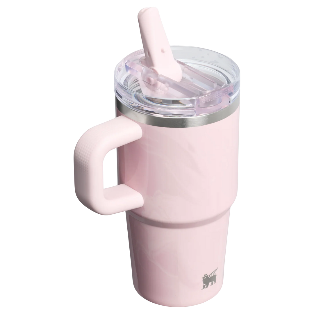 Bình Nước STANLEY Quencher ProTour Flip Straw Tumbler 