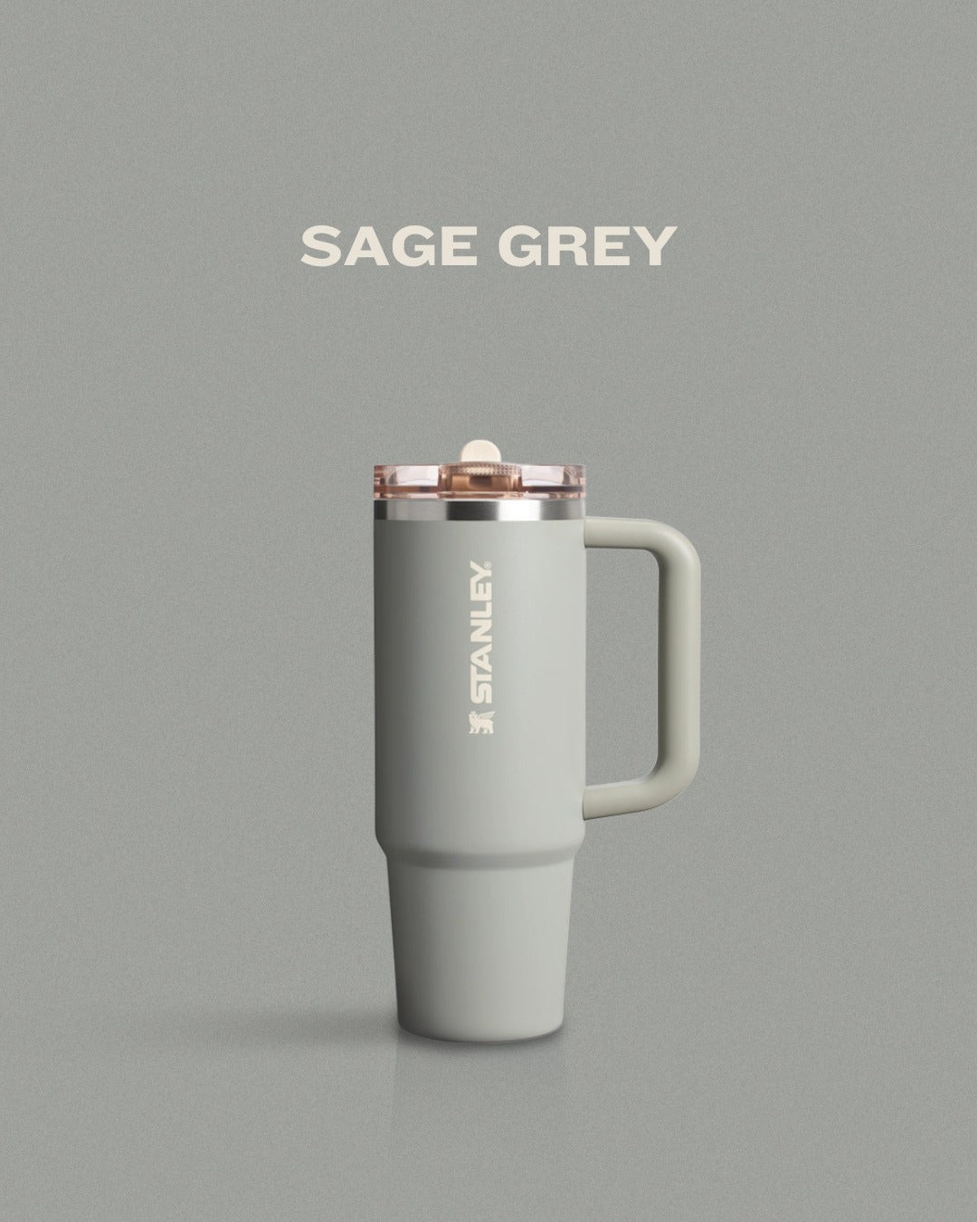 Bình Nước STANLEY Quencher ProTour Flip Straw Tumbler #Sage Grey
