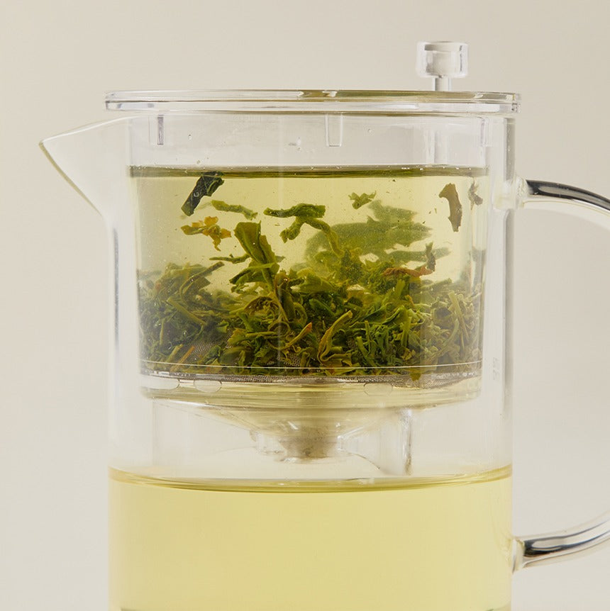 Bình Trà OSULLOC Glass Tea Pot-Kallos
