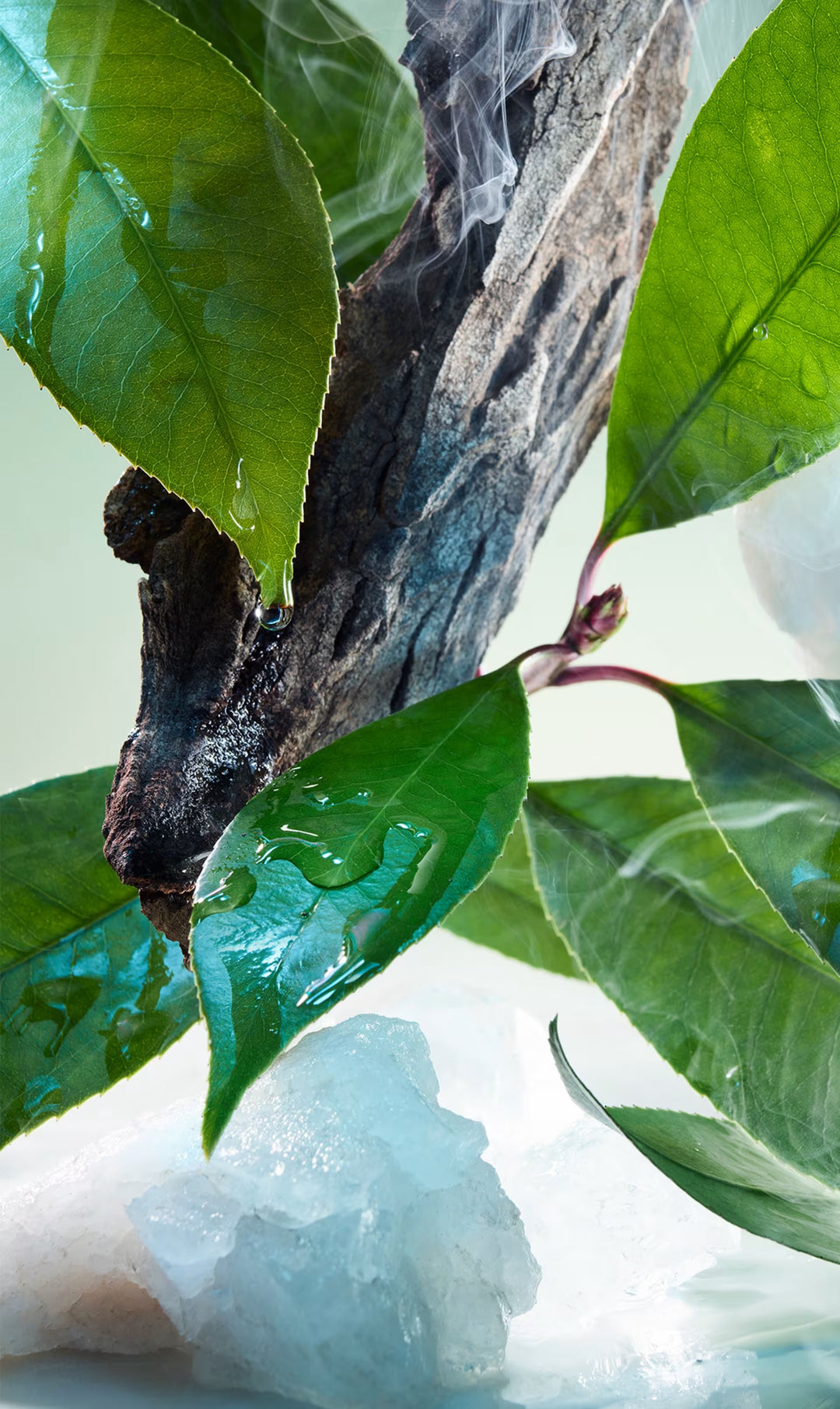 Bộ Quà Tặng BVLGARI Pour Homme Special Set