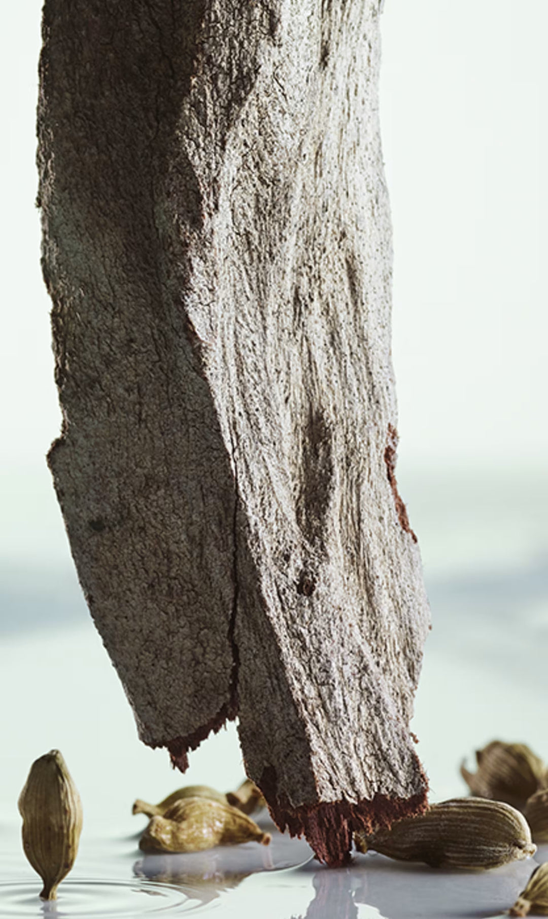 Bộ Quà Tặng BVLGARI Pour Homme Special Set