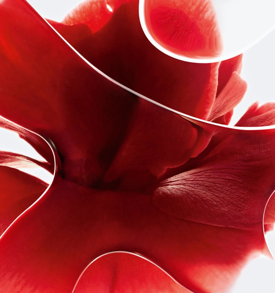 Bộ Quà Tặng CHANEL N°1 De Chanel Red Camellia Revitalizing Serum Duo