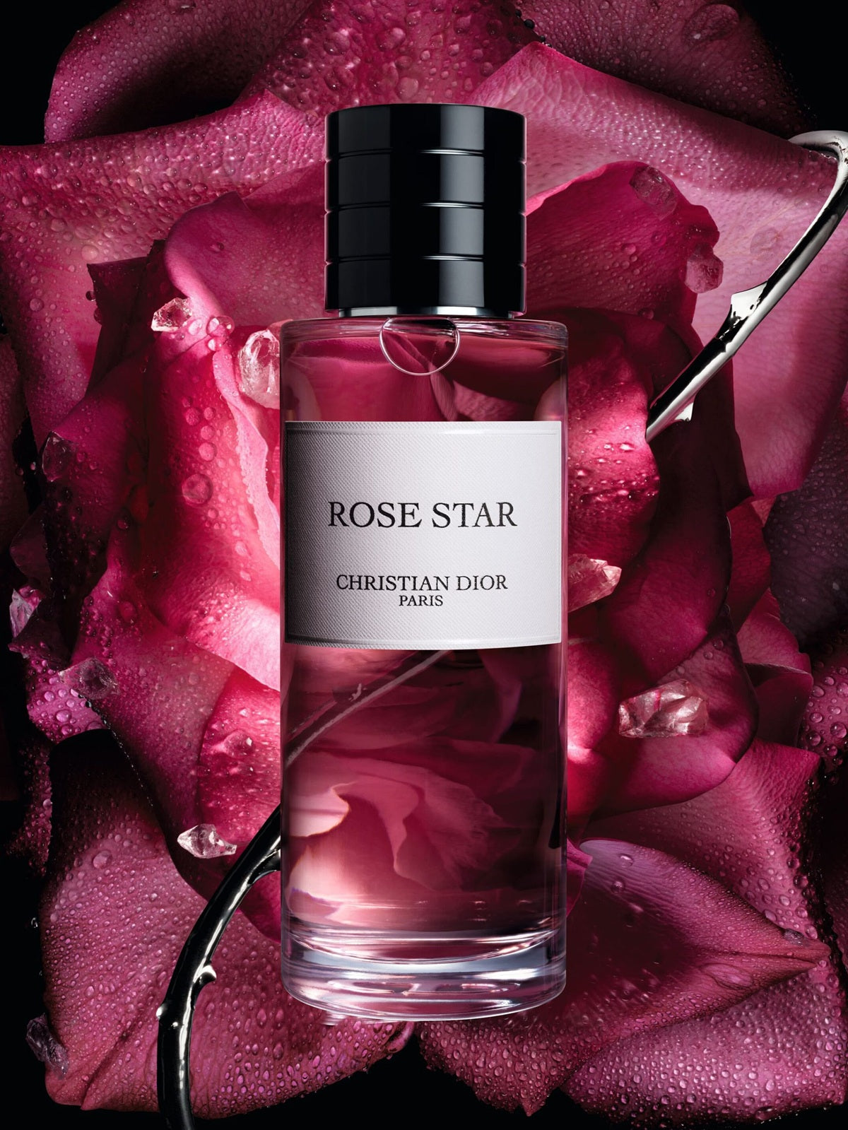 Bộ Quà Tặng Dior The Perfumer’s Floral Set Holiday 2025