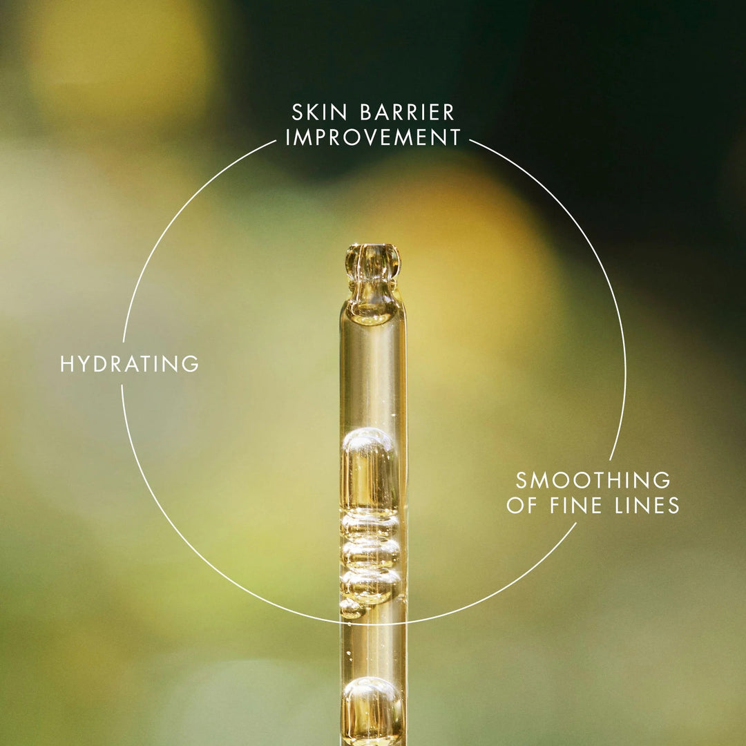 Dầu Dưỡng EVE LOM Renewal Treatment Oil