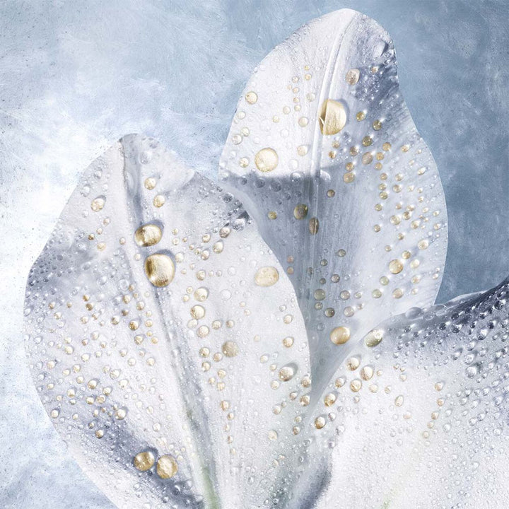 Dầu Dưỡng Helena Rubinstein Prodigy Cellglow The Ultimate Oilixir-Kallos