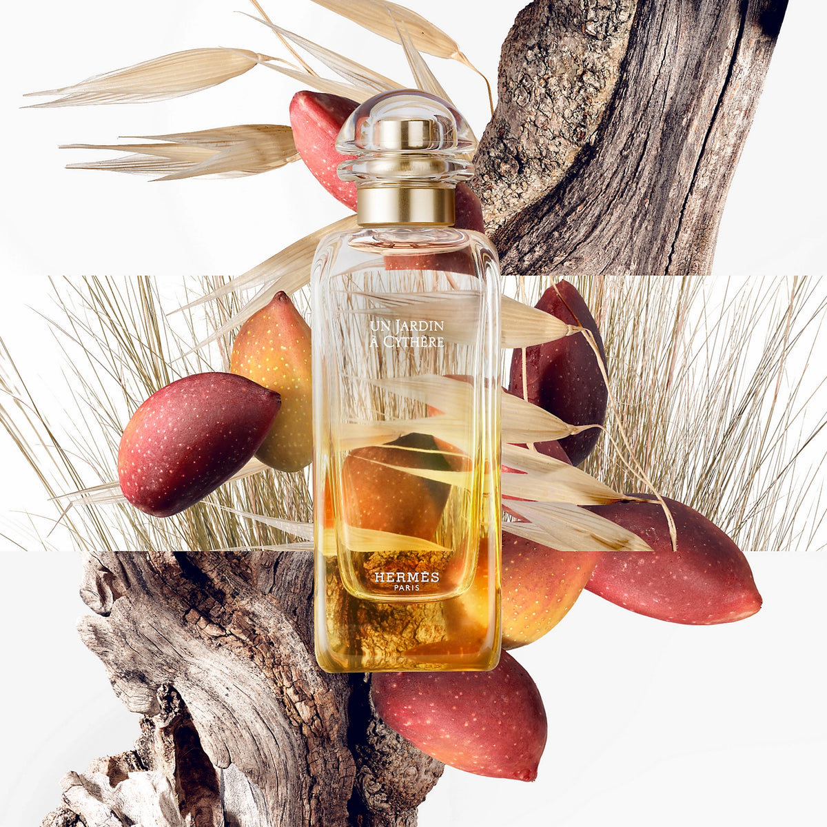 Dầu Dưỡng HERMÈS Un Jardin A Cythere Hair & Body Dry Oil - Kallos Vietnam