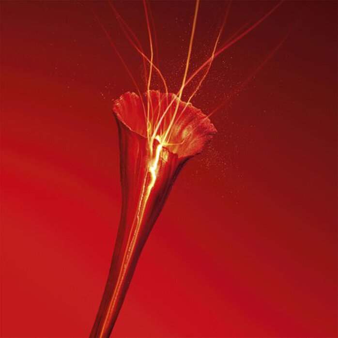 Dầu Dưỡng YSL Or Rouge L&