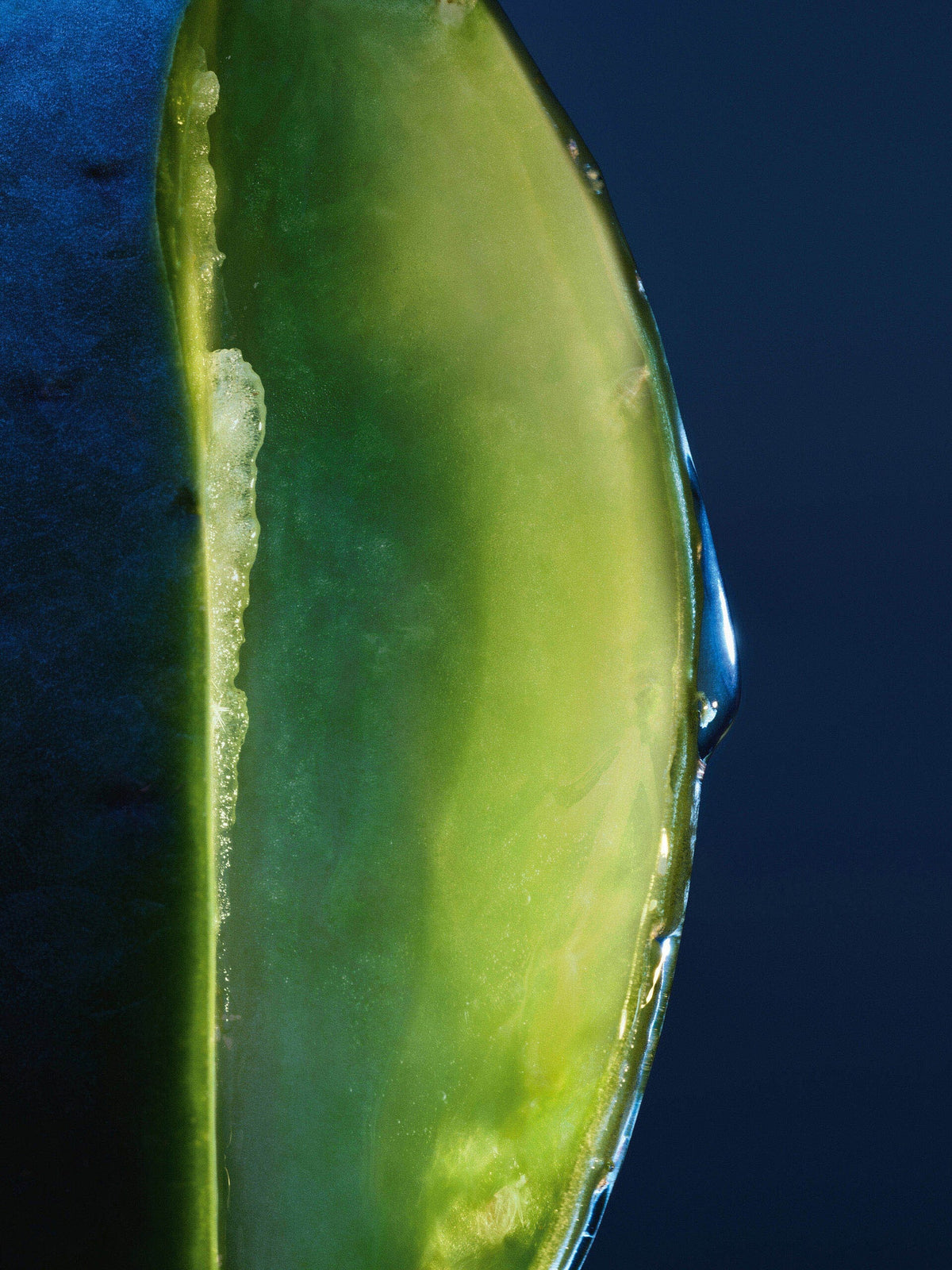 Dầu Gội DIOR Sauvage Hydrating Shampoo