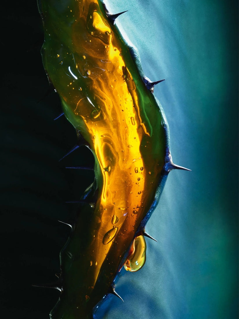 Dầu Gội DIOR Sauvage Hydrating Shampoo