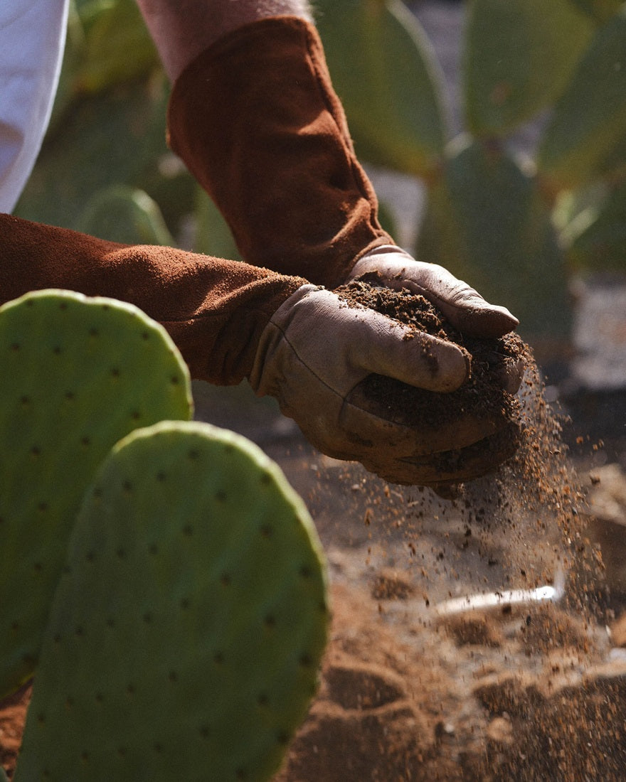 Dầu Gội DIOR Sauvage Hydrating Shampoo