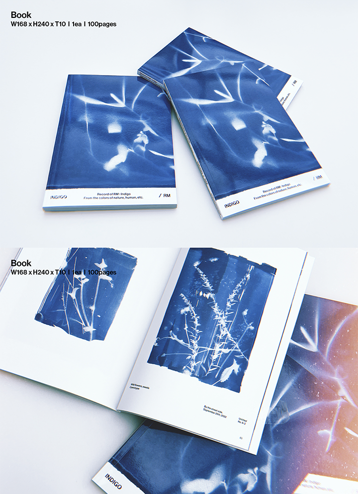 Đĩa RM (BTS) 'Indigo' (Book Edition) - Kallos Vietnam