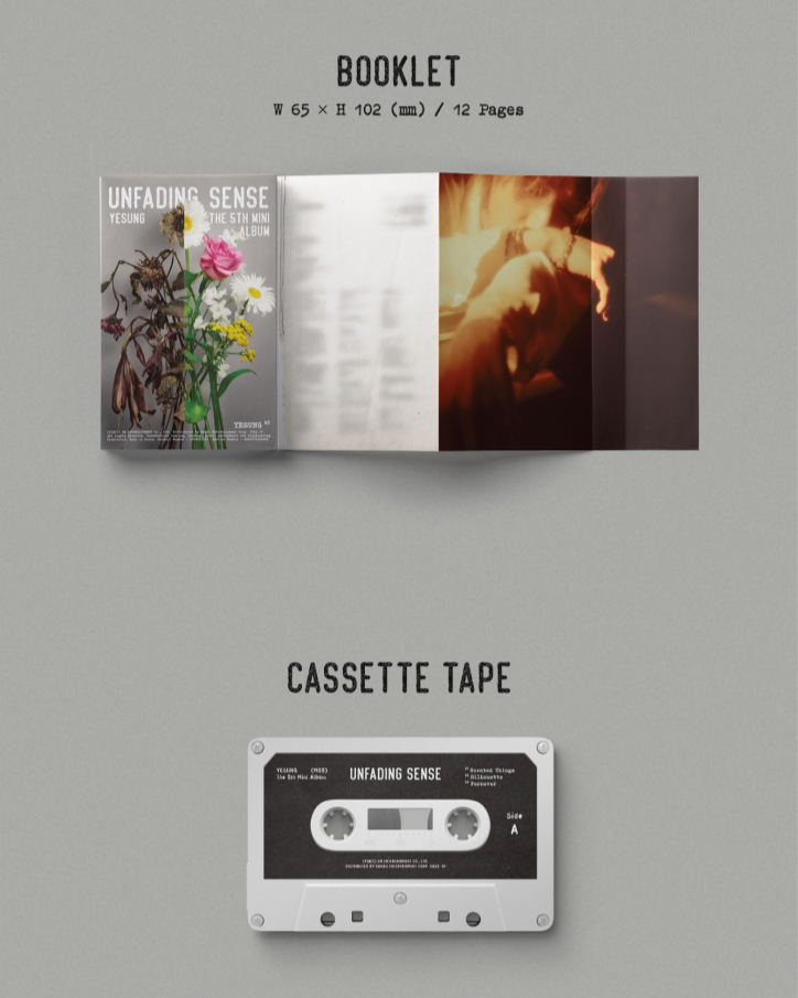 Đĩa SUPER JUNIOR 5th Mini Album [Unfading Sense] (Tape Ver)