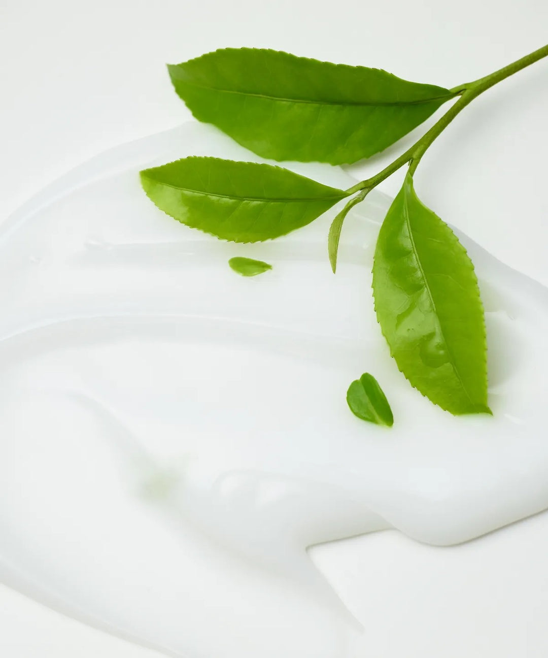 Dưỡng Thể Innisfree Isle Number Body Lotion #000 Green Tea Essence