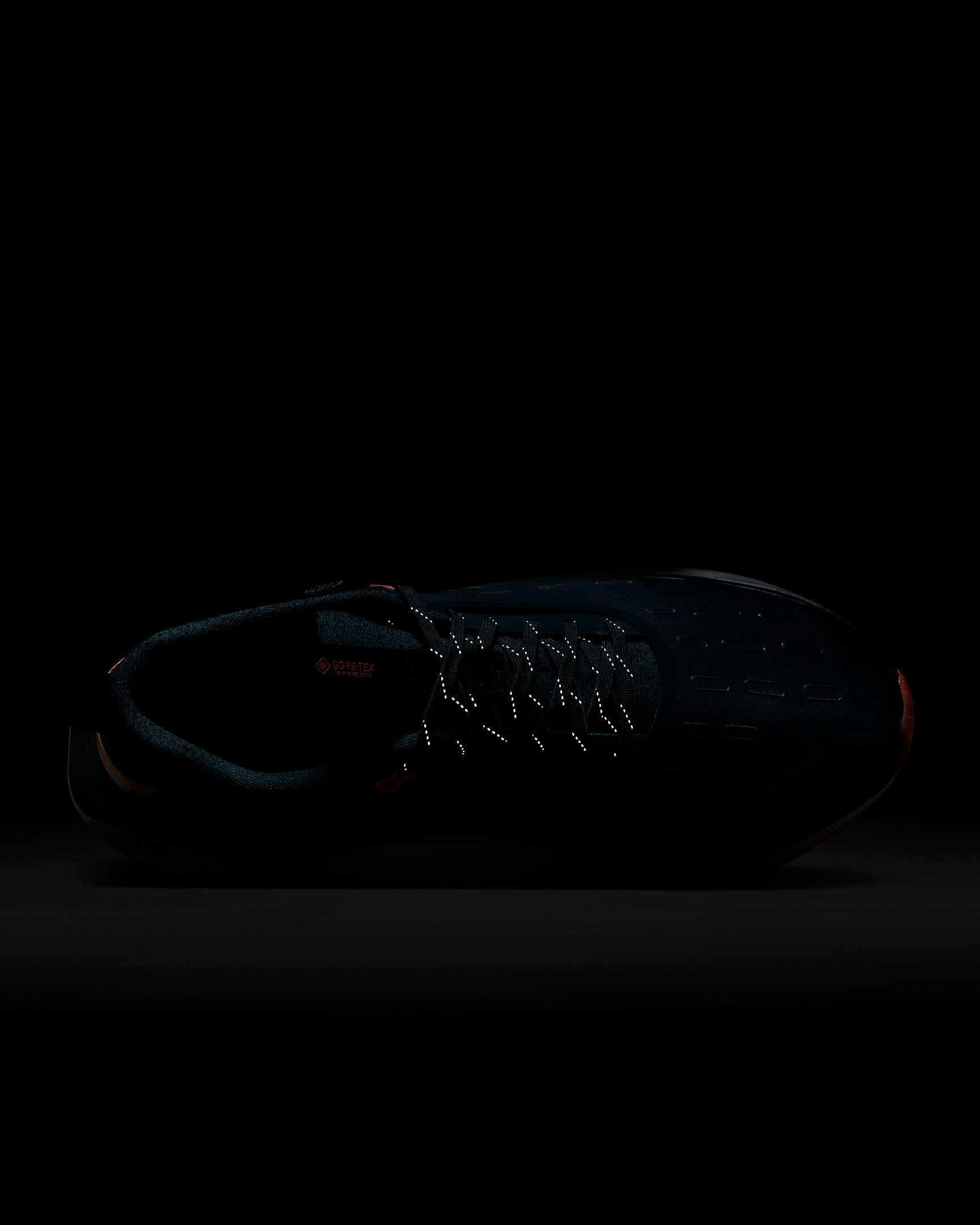 Giày Nike InfinityRN 4 GORE-TEX Men Road Running Shoes #Deep Jungle - Kallos Vietnam