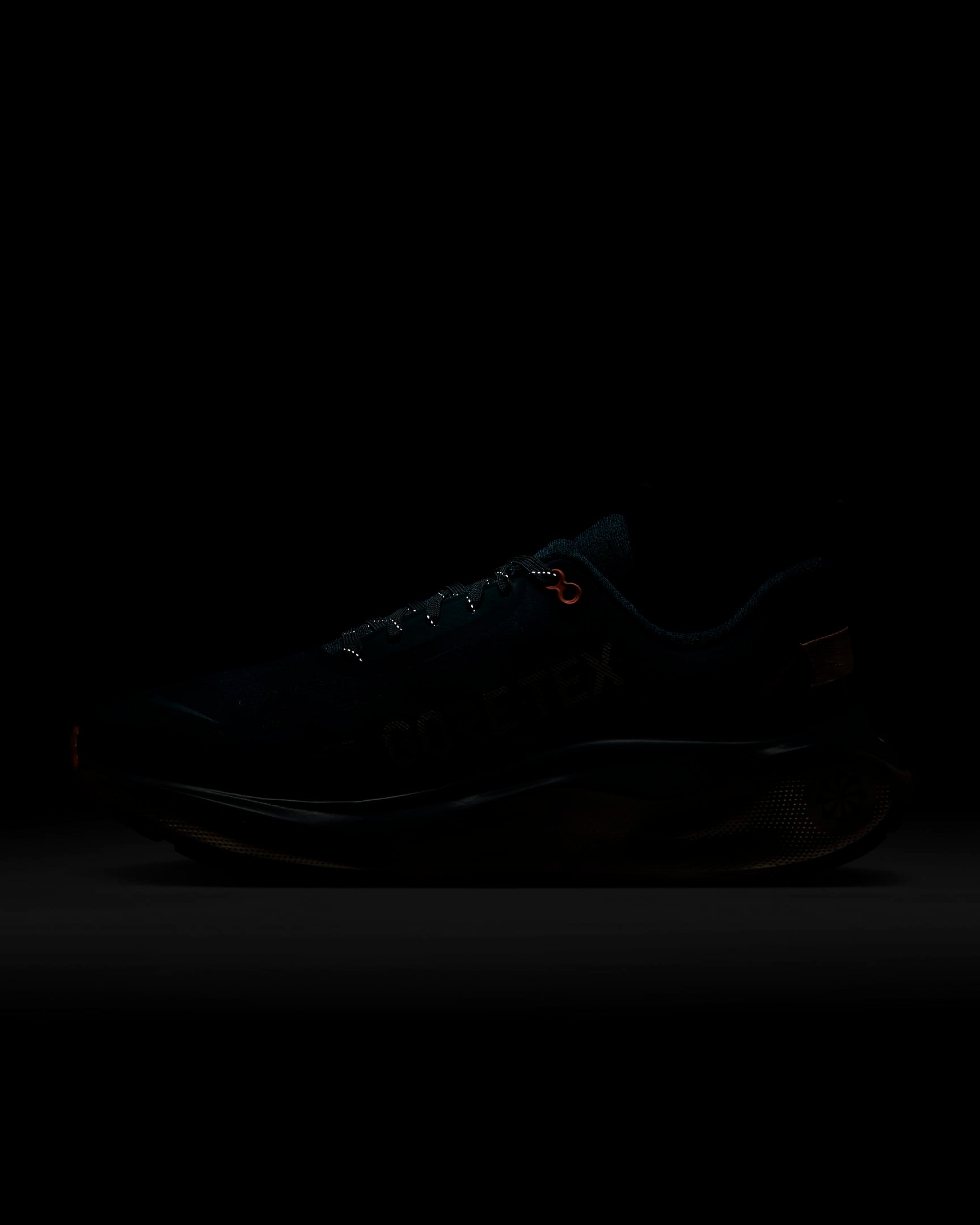 Giày Nike InfinityRN 4 GORE-TEX Men Road Running Shoes #Deep Jungle - Kallos Vietnam