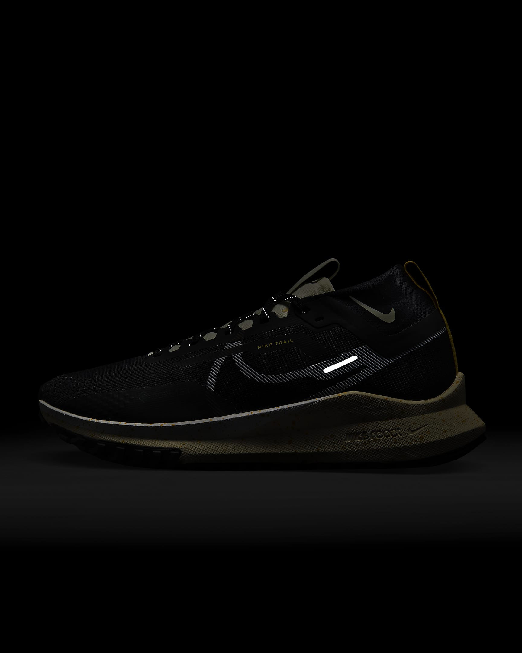 Giày Nike Pegasus Trail 4 GORE-TEX Men Shoes #Coconut Milk - Kallos Vietnam