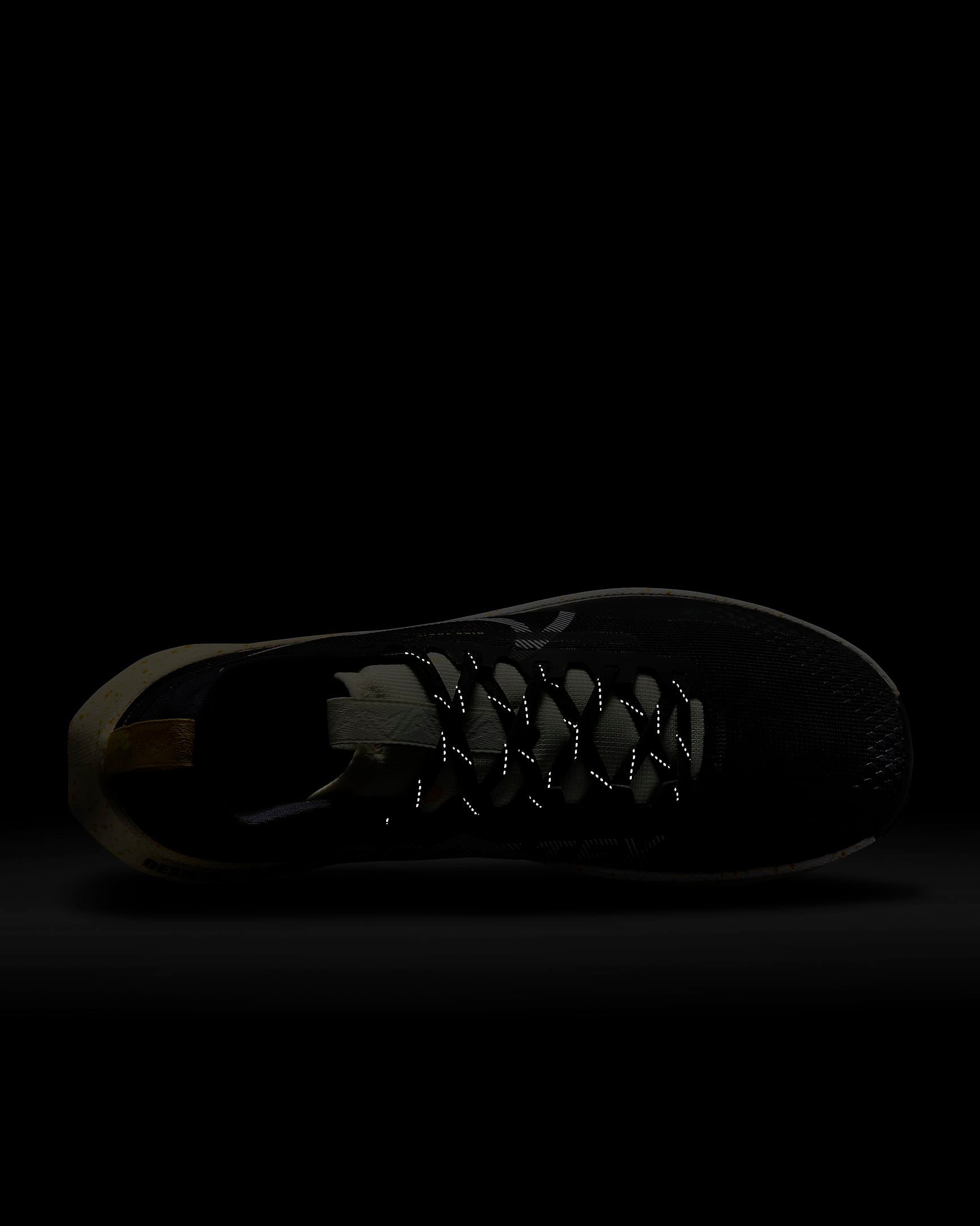 Giày Nike Pegasus Trail 4 GORE-TEX Men Shoes #Coconut Milk - Kallos Vietnam