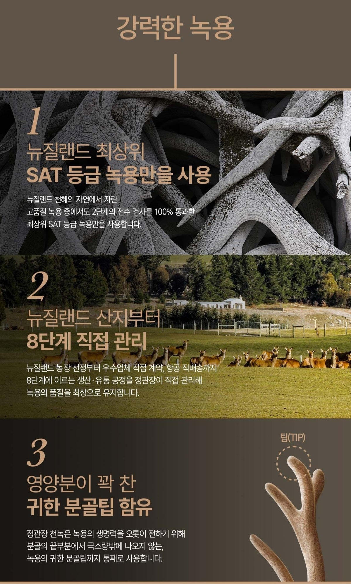 Hồng Sâm KGC Cheon Nok Extract #2 Bottles (Hanji Packaging)