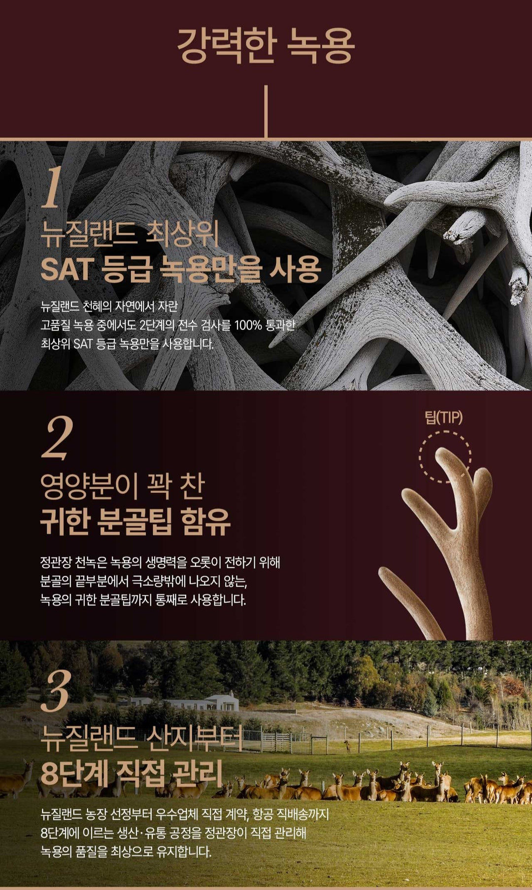 Hồng Sâm KGC Cheon Nok Woman (Lively) Tonic #30 Days (Hanji Packaging)
