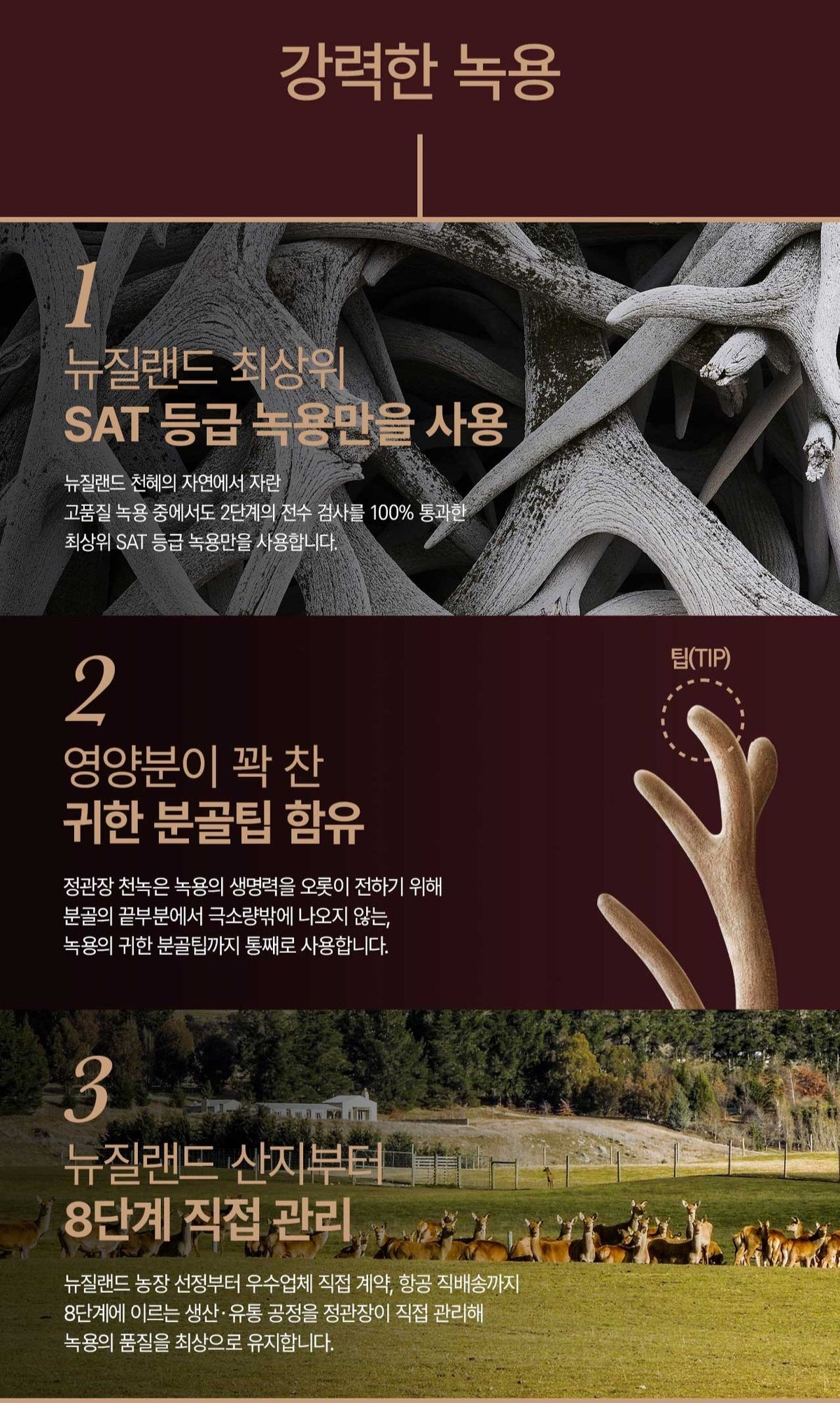 Hồng Sâm KGC Cheon Nok Woman (Lively) Tonic #30 Days (Hanji Packaging)