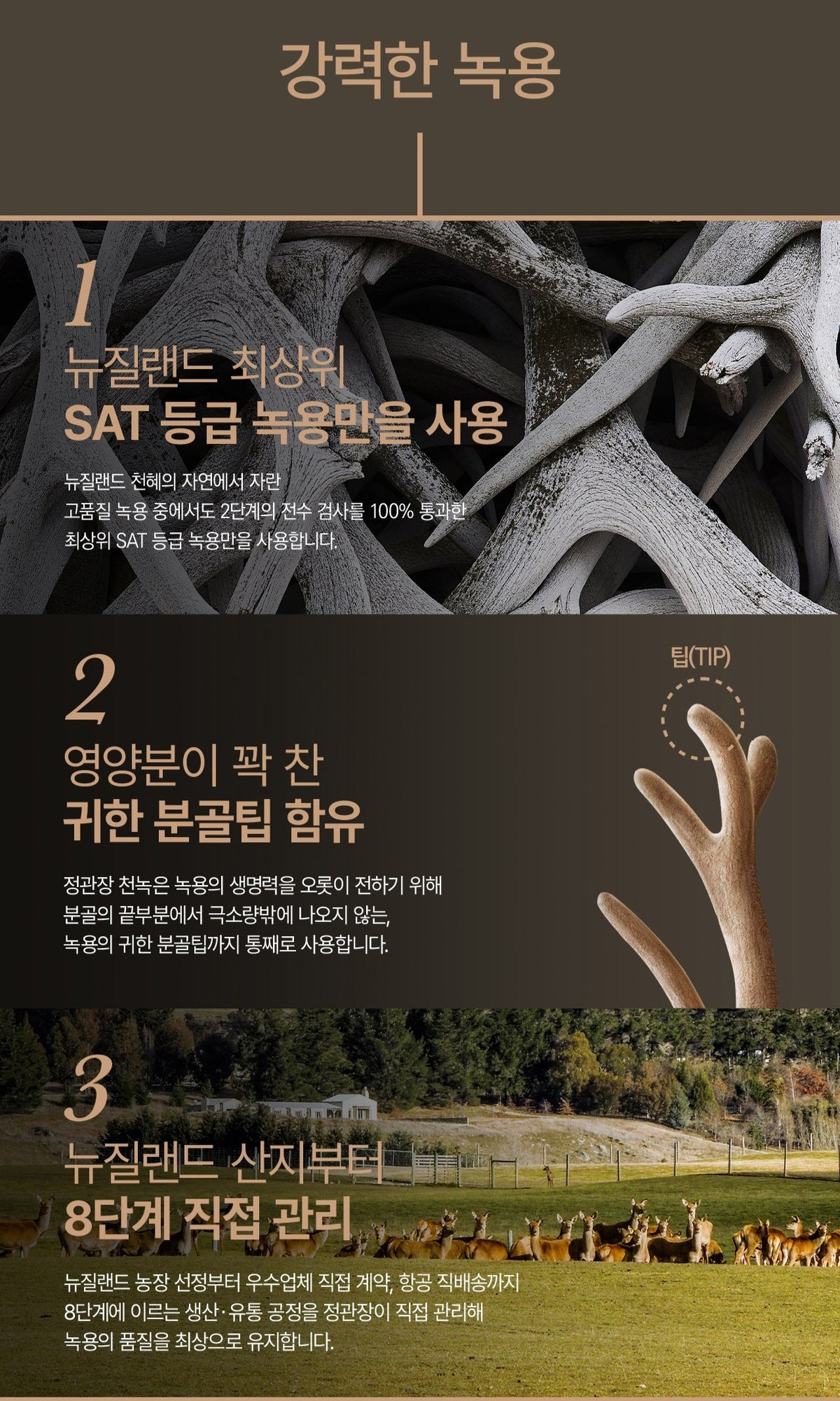 Hồng Sâm KGC Jung Kwan Jang Cheon Nok Jeong #60 Days