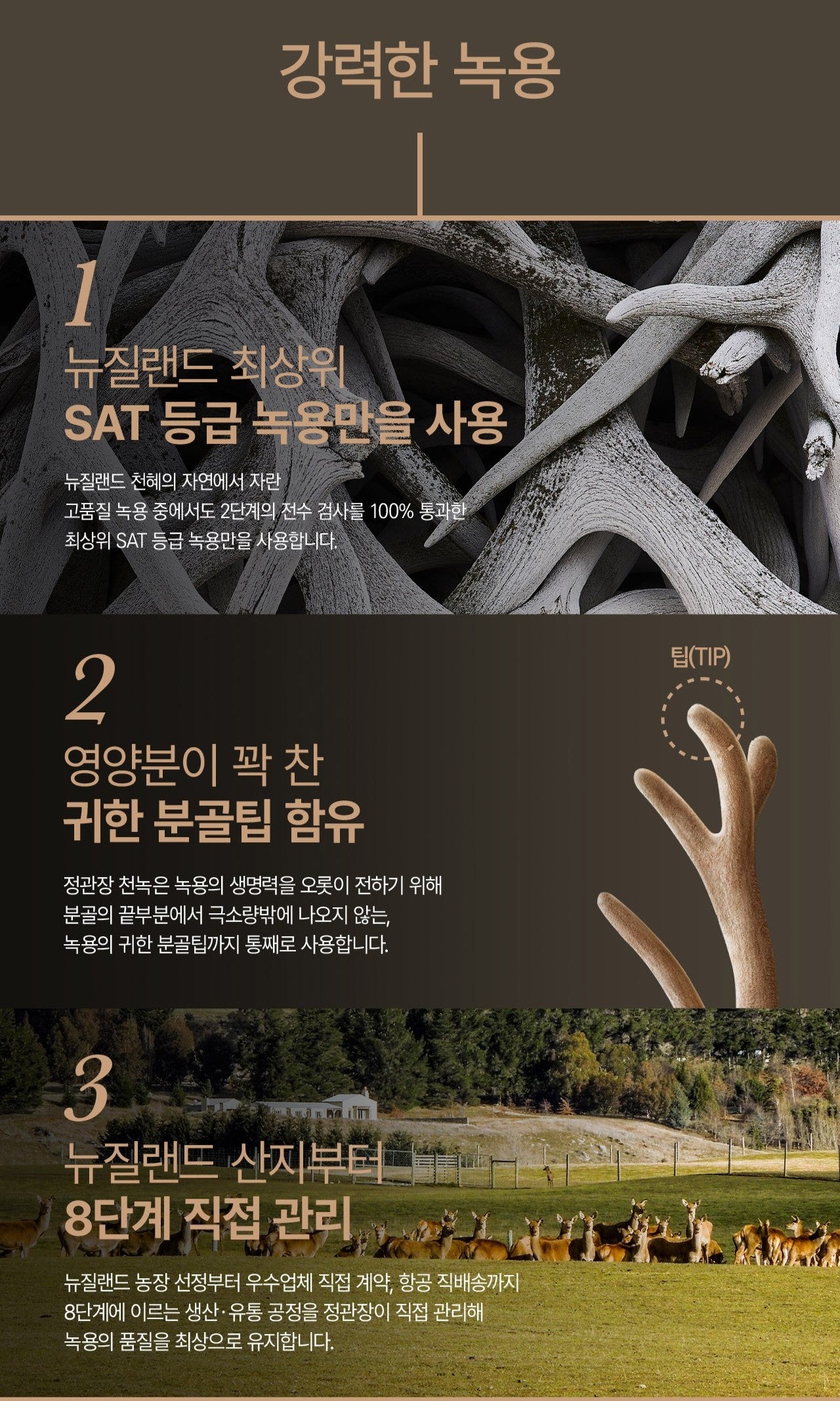 Hồng Sâm KGC Jung Kwan Jang Cheon Nok Jeong #60 Days-Kallos